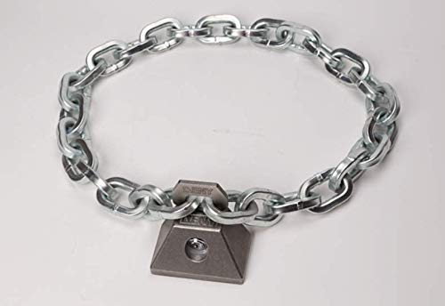 DENY Locks Stainless Steel Chain & Cable Restraint Fits Up to (3/8