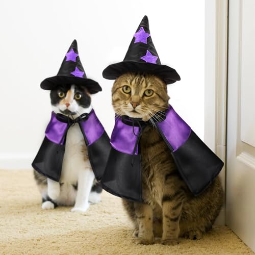 2 sets disfraz Halloween mascota gato perro miniatura 4