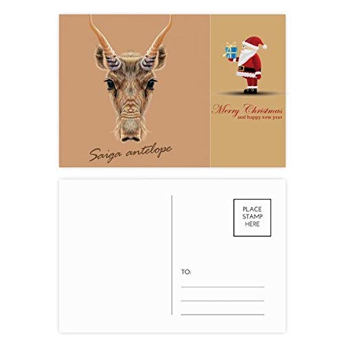Cartes postales Saiga sauvage : lot de 20 avec cartes de remerciement pour correspondances