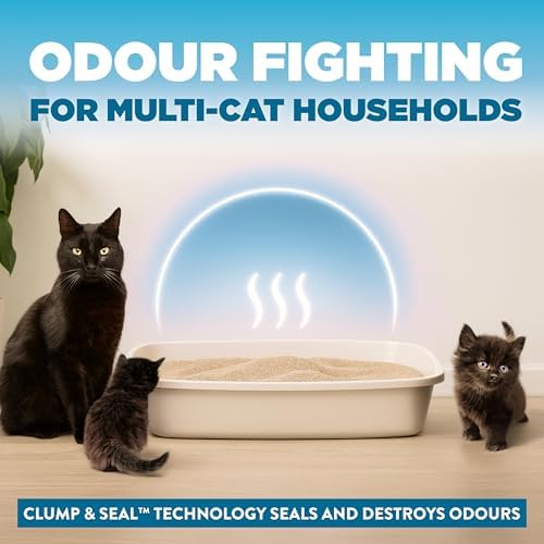 Arm & Hammer Clump & Seal Cloud Control Clay Cat Litter, Multi-Cat, 12.7kg, 7 Days of Odour Control, Dust Free, Clumping Litter (Pack of 1) - 2