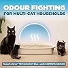 ARM & Hammer Cloud Control Clumping Cat Litter, Multi Cat, 6.35kg – 7 Day Odour Control, 99.9% Dust Free, Hypoallergenic Light Scent
