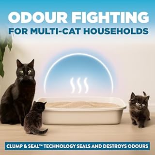 ARM & Hammer Cloud Control Clumping Cat Litter, Multi Cat, 6.35kg – 7 Day Odour Control, 99.9% Dust Free, Hypoallergenic Light Scent