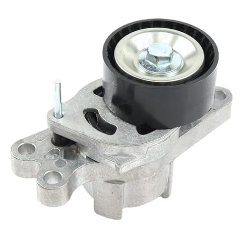 Poulie de guidage et tendeur de courroie pour Citroën C4 C5 et Peugeot 206 307