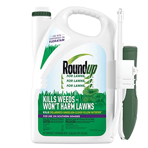 Ultimate Guide On The Best Bermuda Grass Killer For Lawns In 2022 BNB