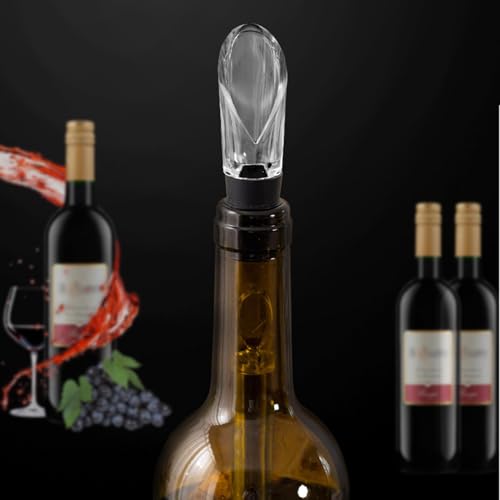 Refroidisseur de vin idée cadeau d'anniversaire et de fêtes - 3