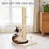 Cat Scratcher Deluxe Basic Kitten Scratching Post Kitten Tree with Floating Ball 22 Inches Suitable for Kittens or Small Cats Beige
