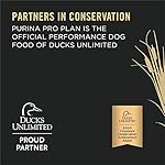 Purina Pro Plan Sport Performance 30/20 Beef & Bison Formula Dry Dog Food - 33 Lb. Bag - Image 2