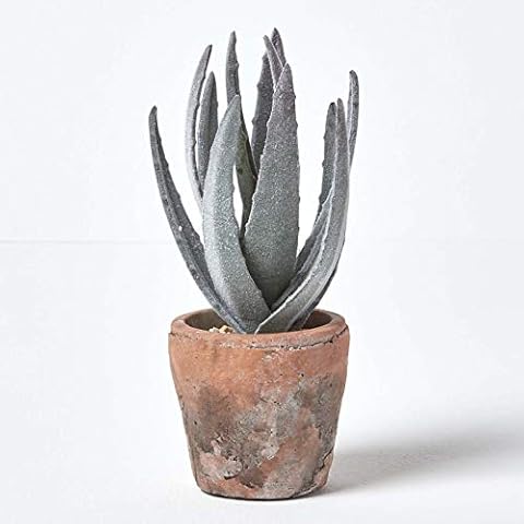 HOMESCAPES Lifelike Artificial Aloe Vera Plant Cover
