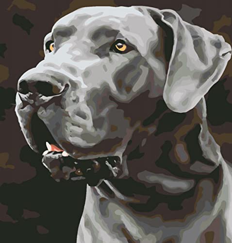 Kit de Point de Croix Chien pour broder une toile de salon