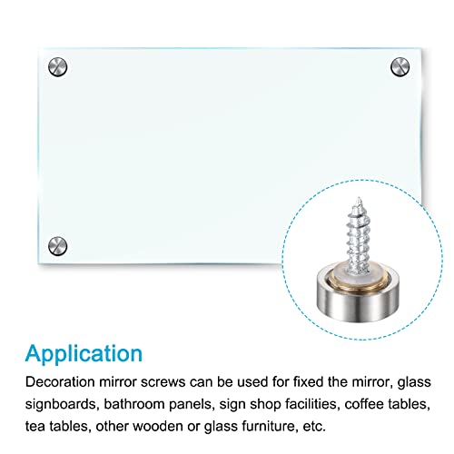 Image of METALLIXITY Mirror Screws (14mm /0.55 inch) 12Pcs, Decorative Cover Cap Nails Brushed - for Sign Advertising Hardware, Construction, Silver Tone