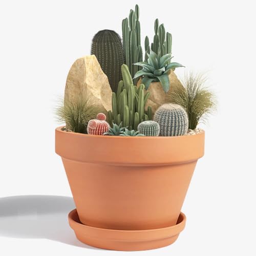 vensovo 8 Inch Clay & Terracotta Pots for Plant with Saucer - 1 Pack Large Ceramic Terra Cotta Planter with Drainage Hole, Clay Flower Pot with Tray for Indoor Outdoor Plants