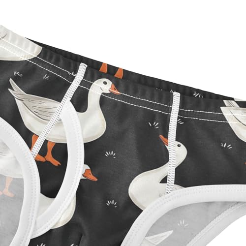 Wusikd Farm Animal Boys' Underwear Cotton Goose Duck Boys Briefs Soft Toddler Underwear 2T4