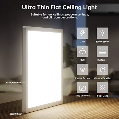 Image of BLNAN LED Ceiling Light Dimmable with Remote Control, 24 W Ceiling Light Panel, 3000 K - 6500 K, 2400 lm, Modern Square Lamp for Living Room, Bedroom, Children's Room