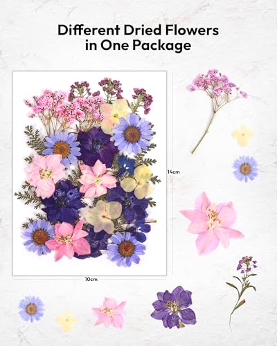 Dried Flowers, Resiners 100Pcs Pressed Flowers for Resin Soap Candle Scrapbook Supplies Card - Image 2