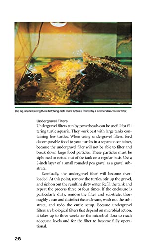 Red-Eared Sliders: From the Experts at Advanced Vivarium Systems (CompanionHouse Books) Choosing a Turtle, Diet, Housing, Breeding, Health, and Painted, Mud, and Musk Turtles - Image 4