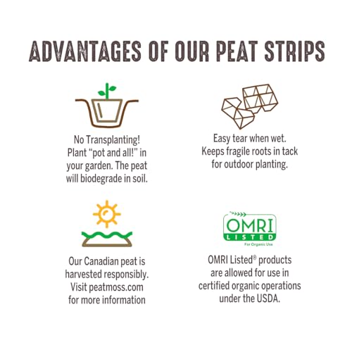 Image of Jiffy Seed Starting Strips - Biodegradable, Plant Starter Pots, 10 Cell, 50 Strips - Peat