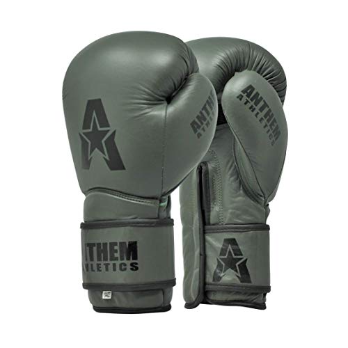 Training Gloves Boxing Gloves Anthem Athletics STORMBRINGER II Leather