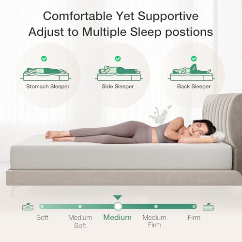 Novilla Queen Mattress 6 Inch Queen Size Memory Foam Mattress with Removable Washable Mattress Cover for Pressure Relief & Comfort Sleep CertiPUR-US Certified Mattress Queen