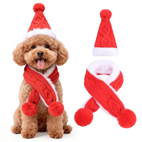 Set Disfraz Gorro y Bufanda Rojo para Gatos y Perritos