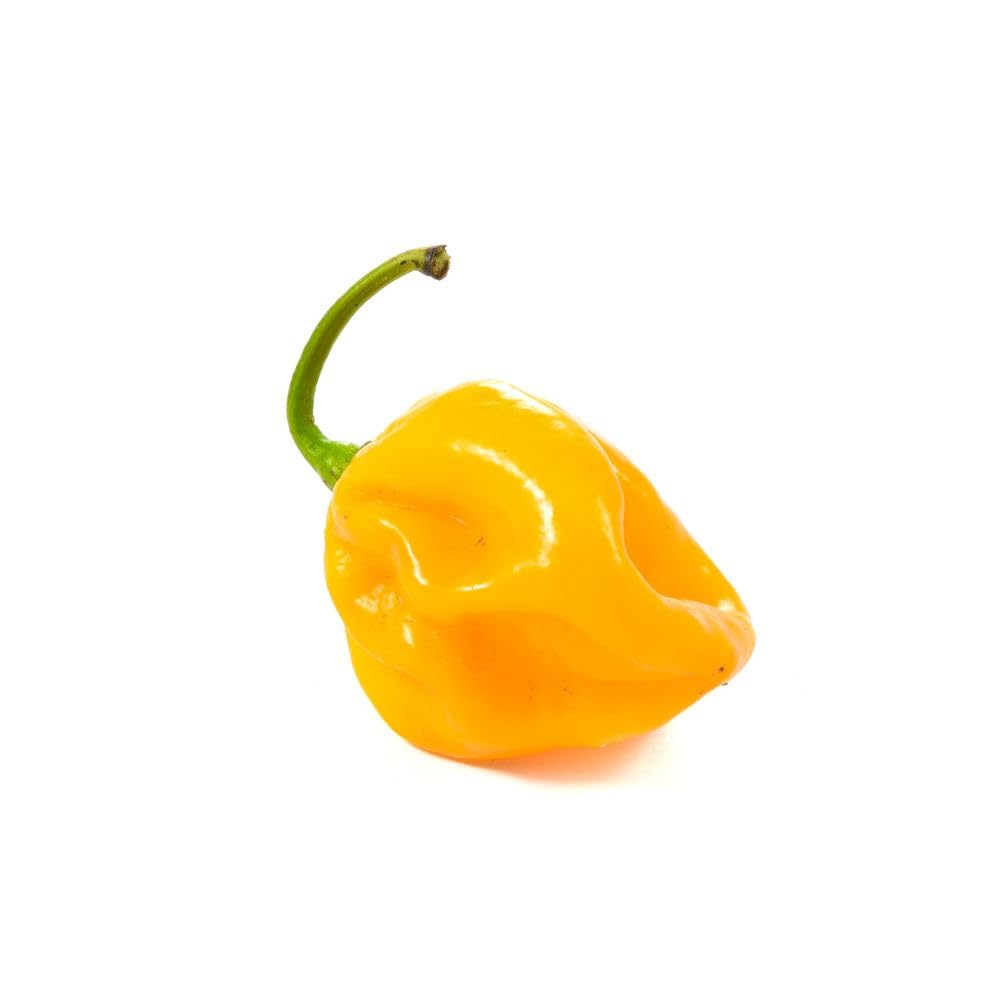 Tris di Peperoncino Habanero - Prodotti al peperoncino Mr PIC® - Mr PIC®: il Peperoncino Toscano di qualità - Carmazzi: la più ampia linea di prodotti piccanti in Italia