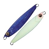 メジャークラフト ジグパラ ショート 40g JPS40 2TON ディープパープル