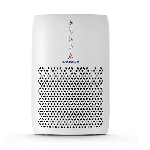 Image of Pure Air PA2 Wozoyo Air Purifier, Home&Office,4in1 Filter, PreFilter,AntiBacterial,H13 HEPA, Activated Carbon,Covers 673 ft,AHAM Verifide,Removes 99.99% PM2.5 PM10,Pet Dander,Smoke,Pollens,NightLight