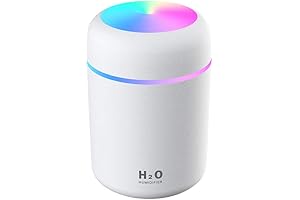 Mini Cool Mist Humidifier: Desk Oil Diffuser for Your Space