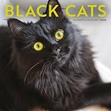 Carousel Calendars, Black Cats 2026 Wall Calendar, 12'' X 12'', 16-Month Calendar with Stapled Binding