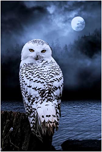 Puzzles pour Adultes 500 Pièces,Puzzle en Bois Classique,Hibou Blanc sous La Lune Puzzle,Puzzle Amusant en Famille Cover