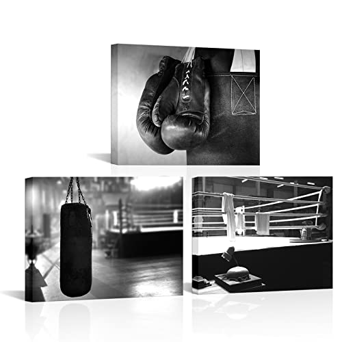 Rnnjoile 3 Piece Boxing Canvas Wall Art Gym Pictures For Home Wall Decor Black White Painting Artwork Framed 12 Inchx16 Inch cover