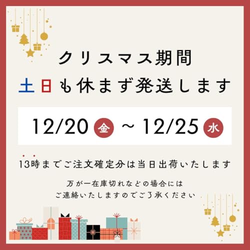 JDRAZOR(ジェイディレーザー)『キックスクーター』