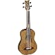 Bass-Ukulele Ortega Guitars elektro-akustisch Lizard Series mit Gigbag