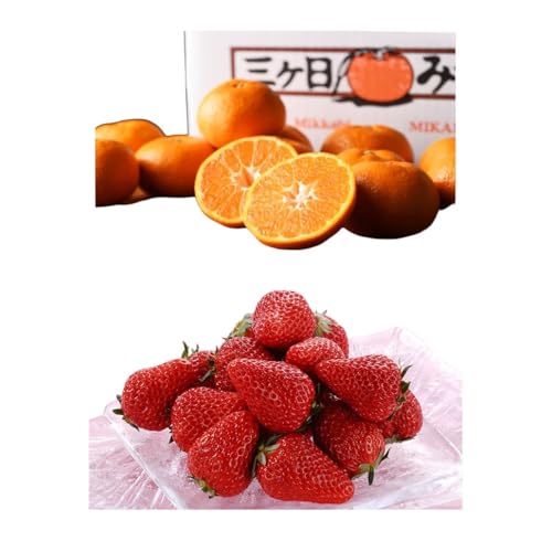 [2025年1月中旬より順次発送]紅ほっぺいちご 2パックと三ヶ日みかん青島 3kg 詰合せ[配送不可:離島]