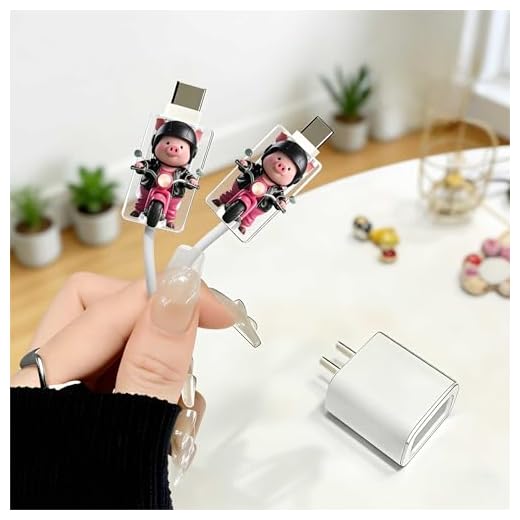 2pcs Acrylic Pig Riding Scooter Cable Protector, Type-C Compatible, Anti-Break Data Cable Cover, Beautiful and Durable Charging Cable Protective Case, Perfectly Ideal Clear