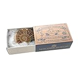 マッチ箱博物館　鉱物と化石のコレクション (10個入り)