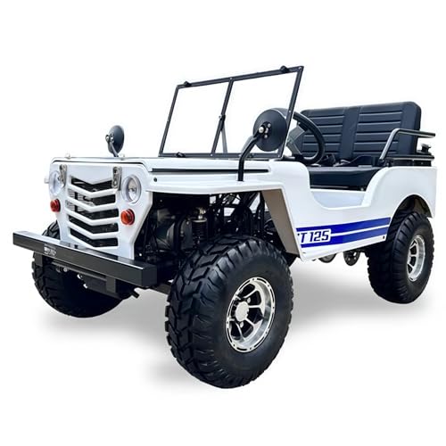 SYX MOTO 125cc Go Kart 4-Wheeler