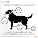 AlphaTrak 3 Test Strips for Use with AT3 Blood Glucose Monitoring System for Cats, Dogs, and Horses, 50 Count