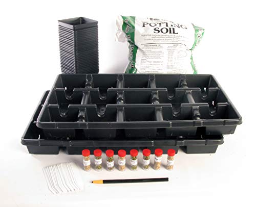 American Educational Environmental Ecology Seed Kit - Image 11