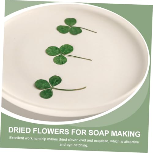24 piezas de hojas prensadas de trébol secas para manualidades miniatura 4