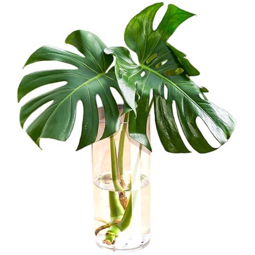 Vase cylindrique acrylique transparent 15x35 cm grand format pour composition florale - 3