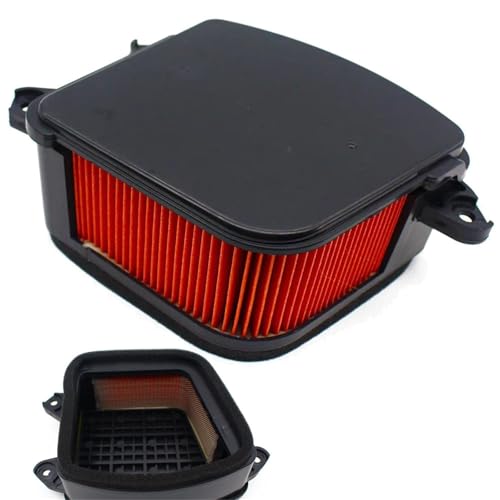 Filtre à air de moto Hyosung GV300S Classic et QM300 d'admission moteur