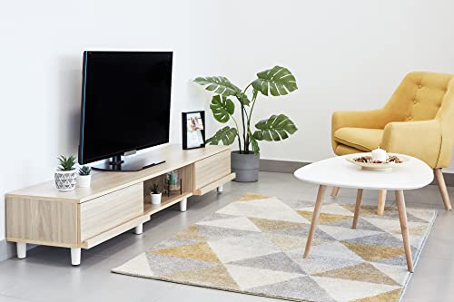 Iris Ohyama, Mobile TV/TV da banco/Mobile