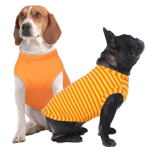 IECOii 2 Pack Dog T-Shirts for Small Medium Dogs,Lightweight & Comfortable – Easy to Wear,Machine Washable & Non - Fading – Perfect for Summer Ind