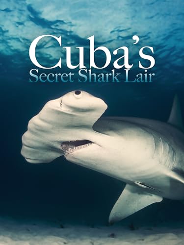 Tiburones gigantes de Cuba