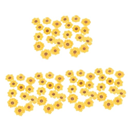Flores secas pressadas para manualidades 72 pcs EXCEART