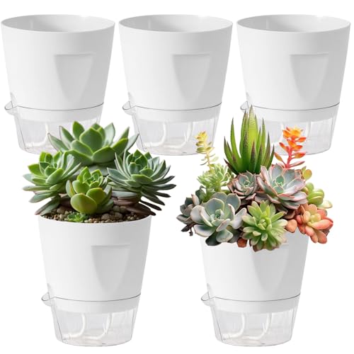 Genérico Macetas de Autorriego   con 5