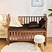 Entisn Toddler Pillowcase 13 x 18 Inch, 2 Pack Minky Dot Toddler Pillow Covers with Zipper Closure, Soft Fleece Pillow Shams for Nursery, Girls, Boys (Chocolate Brown)