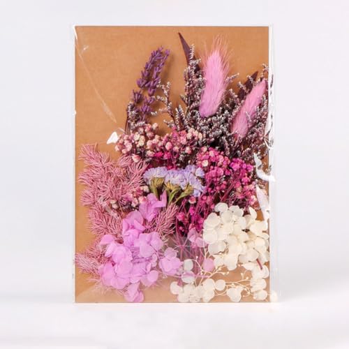 Kit de flores secas para manualidades y decoración miniatura 7