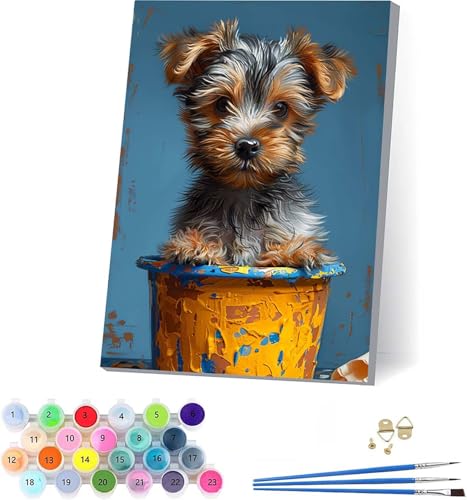 G  lp DIY yCgoCio[ 킢 h G fW^GZbg uVƃANGt hG l̃NtgANeBreB Paint by Numbers z[ ItBX av[g 30x40cm 