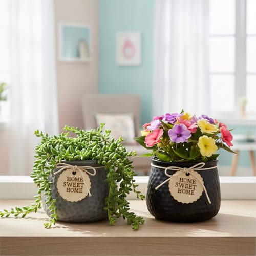 Image of Xtore Sleek Textured Ceramic Planter Set of 2 with Wooden Tag Accent | Modern Minimal Indoor Pots for Desk, Shelf & Home Styling (Pack of 2, Planter only)